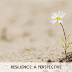 Resilience: A Perspective