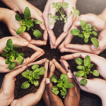 The Importance Of Nurturing Healthy Personal And Professional Relationships